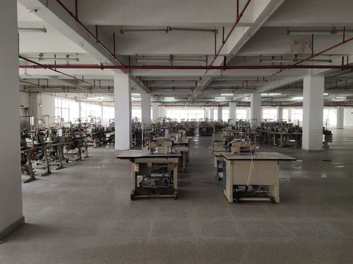 花都區(qū)學(xué)校建筑抗震安全檢測(cè)鑒定工作全面展開，權(quán)威機(jī)構(gòu)助力筑牢校園安全防線